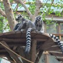 가창로 | [대구 달성] 네이처파크 동물원 할로윈 페스티벌 후기 대구 가볼만한 곳