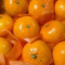 고랑몰랑 이미지