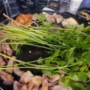 벼락금돼지 이미지