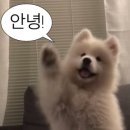 강정이기가막혀양재우면점 | 오름 삼나무 숲 / 981파크 레이싱 ᙏ̤̻ / 해물라면 맛집 / 제주 동문시장 횟집 및 음식 후기 ૮꒰⌯'・'⌯꒱ა