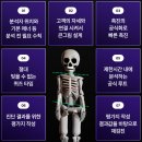 ＜한국직업능력개발원 인증＞ 에듀핌체형분석평가사 자격증과정 2월과정 접수 중 이미지