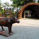 태신목장 이미지