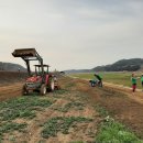 남해주말 이미지