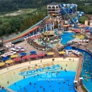 아름다운관광농원화수목 이미지