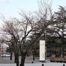 솔로아트 | 강승윤 솔로 콘서트 2025 PASSAGE #2 전국투어 / 영남대학교 천마아트센터 그랜드홀 C구역 1열 시야 주차