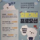 365동물병원 위례점 이미지