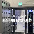 양지헬스 | 서울대입구 헬스 PT 추천 _ 웨이브짐 (feat. 내돈내산)