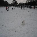 보미목장 이미지