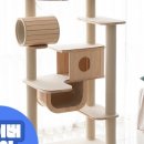 냥이놀이터 이미지