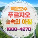 백운산숲속의아침 이미지