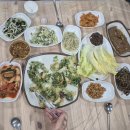 인제17-1 이미지