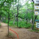 돌샘약수터 이미지