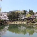 자전거연합회 이미지