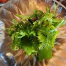 서울시립대로 | 서울시립대 맛집 카레집 | 혼밥하기 좋은 일본식 카레, 등심돈까스카레 내돈내산 후기