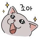 수림세탁 이미지