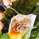 33한돼지 이미지