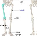 비와이짐 이미지