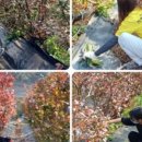 종재농장 이미지