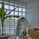 신흥늦장 이미지