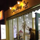 올리브 애견 이미지