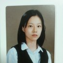 개, 이쁘다 이미지