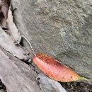 산내뜰생태어린이집 이미지