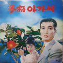 동백 아가씨 - 이미자 (1964) 이미지