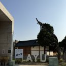 [cafe] ‘아유~’ 감탄 나오는 감성카페, 남양주 아유 스페이스 솔직 후기