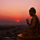 유아독존 이미지