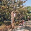 나무고아원A 이미지