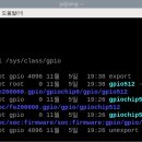 Processing GPIO 제어에 대하여 이미지