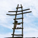 하늘 사다리 이미지