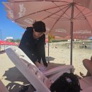 맘보횟집 | 부산 왜 안 가?