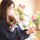 피콜로 라비타 이미지