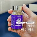 메타큐레이션 | 눈건강 눈피로 관리 필수템 메타웰 테인베리 후기
