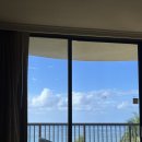 건아렌터카 | 오아후 섬 투어🦖🏝️(쿠알로아랜치, 쉐라톤 와이키키,킼인케이준,다이아몬드헤드,하와이젤리캣, 와이키키...