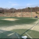 스타파크야구장 Daum카페