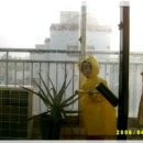 마음지기정신건강의학과 이미지