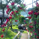 (주)한백 이미지