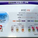 아이앤스타일