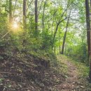 호랑산 둘레길 이미지