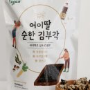 어이딸 부각 이미지