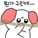 라이프 530