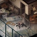 (주)마이플레이 | 왓츠인마이블로그 5주차_좀좀따리 했던 게임 플레이 후기