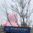 마장호수 뷰 카페 베르테라 파주 철갑상어 유원지, 닥터피쉬 체험, 알파카 구경, 콜덕 먹이 체험