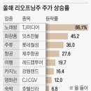 와이지그래픽