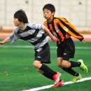 고촌초등학교 이미지