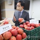 청송안동사과도매