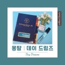 데이드림즈 랩 | 몽탈 데이 드림즈 | 박보영의 맑은 미소를 닮은 향수 후기, 가격, 지속력
