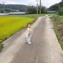 러블리 | 아기 수면인형 애착인형 블루래빗 아이큐베이비 러블리부 후기